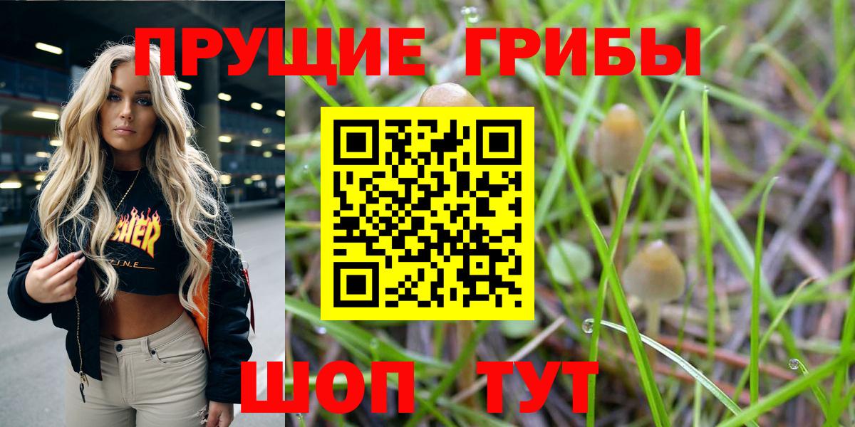 Псилоцибиновые грибы Cubensis Балаково